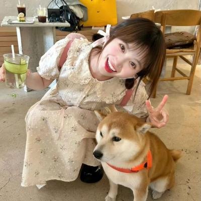 圆盘皇女 十二月夜想曲